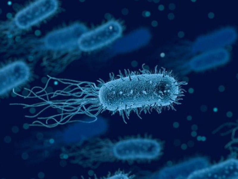 S&uuml;ni intellekt bakteriyaları &ouml;ld&uuml;rən viruslar yaratdı  Tibbdə yeni d&ouml;vr başlayır