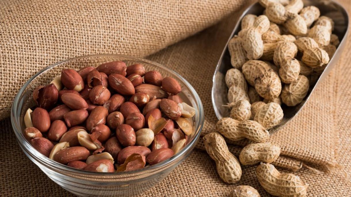 Beyin damarlarının fəaliyyətinə