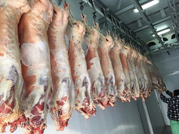 Bakıda satılan "monqol quzuları" təhl&uuml;kəsizdir?  A&Ccedil;IQLAMA