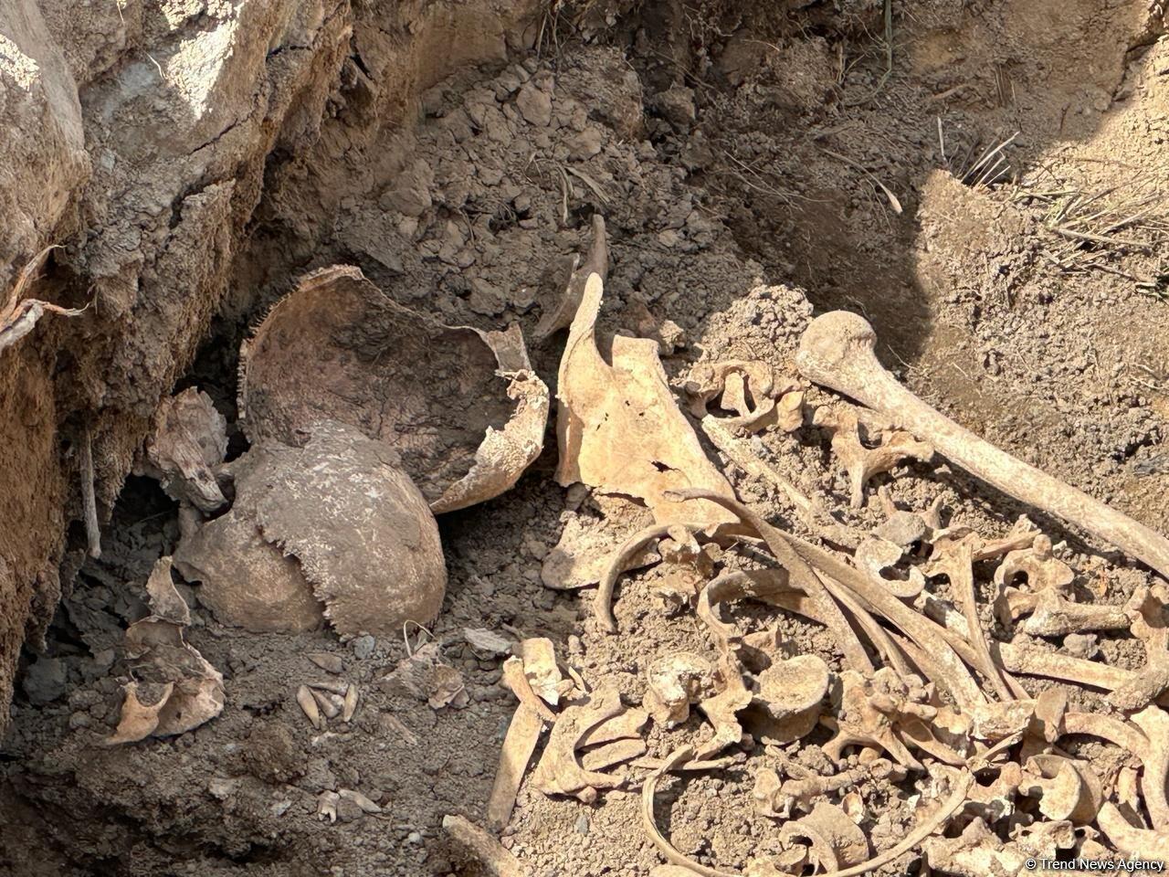 Ağdamda insan sümüyünə bənzər fraqmentlər aşkarlandı