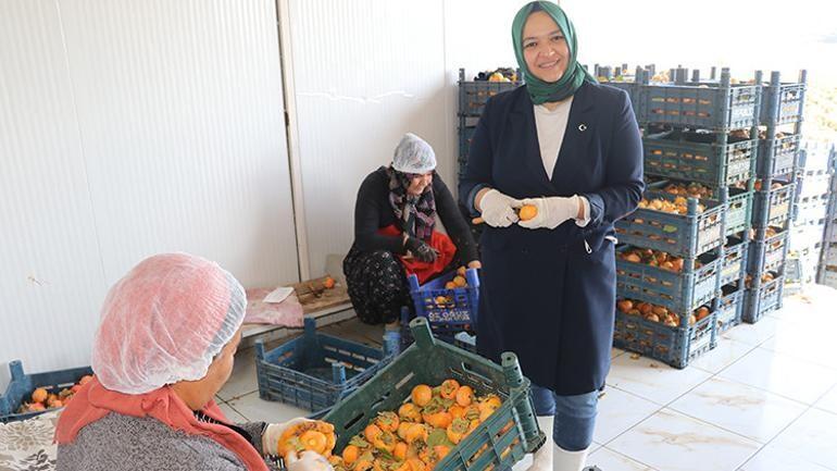 İş&ccedil;idən sahibkarlığa: Xurmanın g&uuml;c&uuml; ilə Kanada bazarına &ccedil;ıxdı 