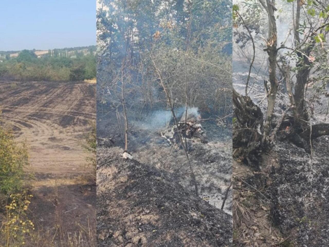 Qubada yanğın törədənlərdən biri həbs olundu, ikisi cərimələndi  FOTO
