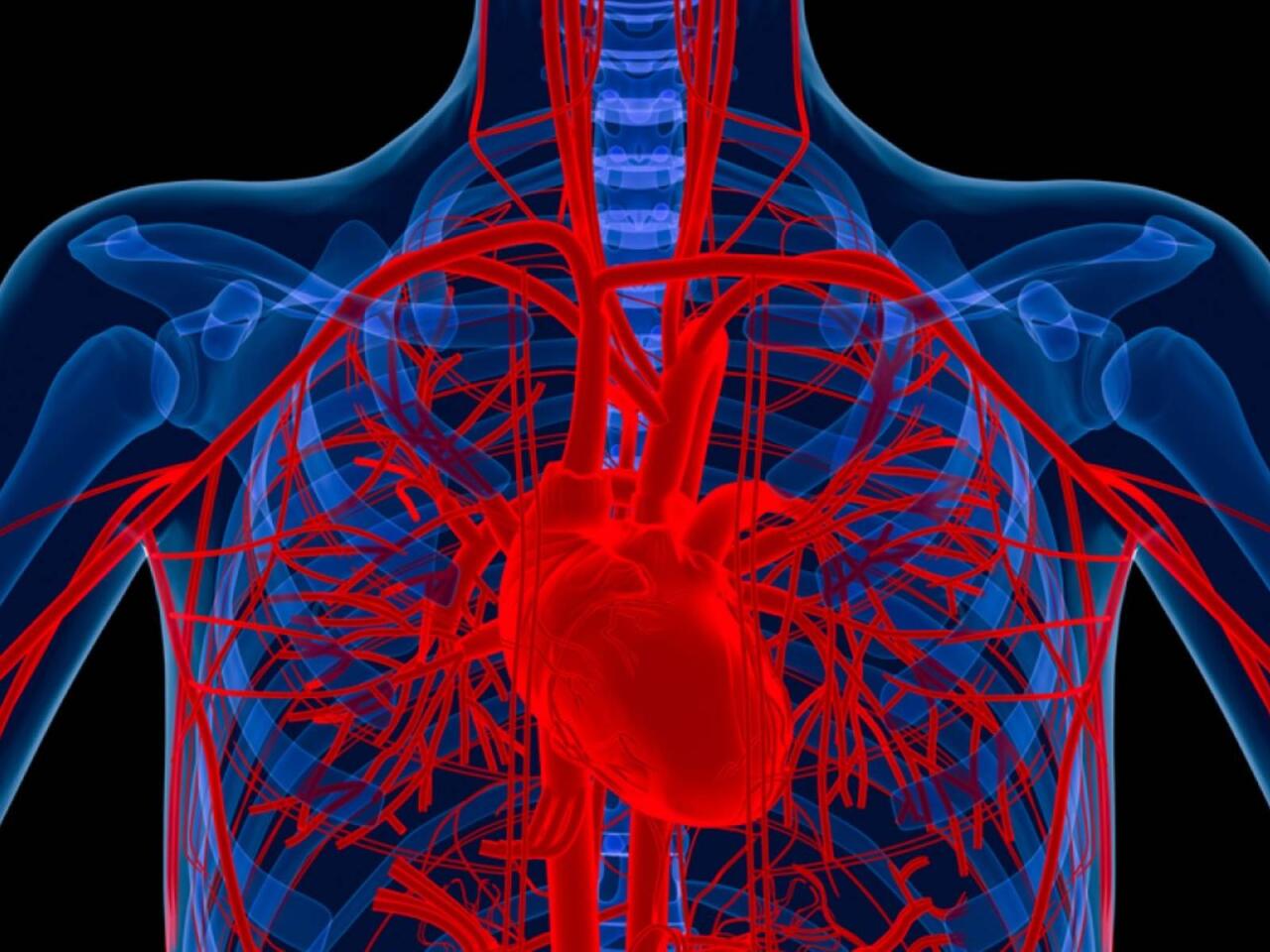 Alimlər xəstənin &ouml;z h&uuml;ceyrələrindən damar hazırladı