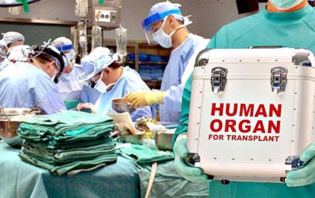 Azərbaycanda orqan nəqli &uuml;&ccedil;&uuml;n xərc nə qədərdir?