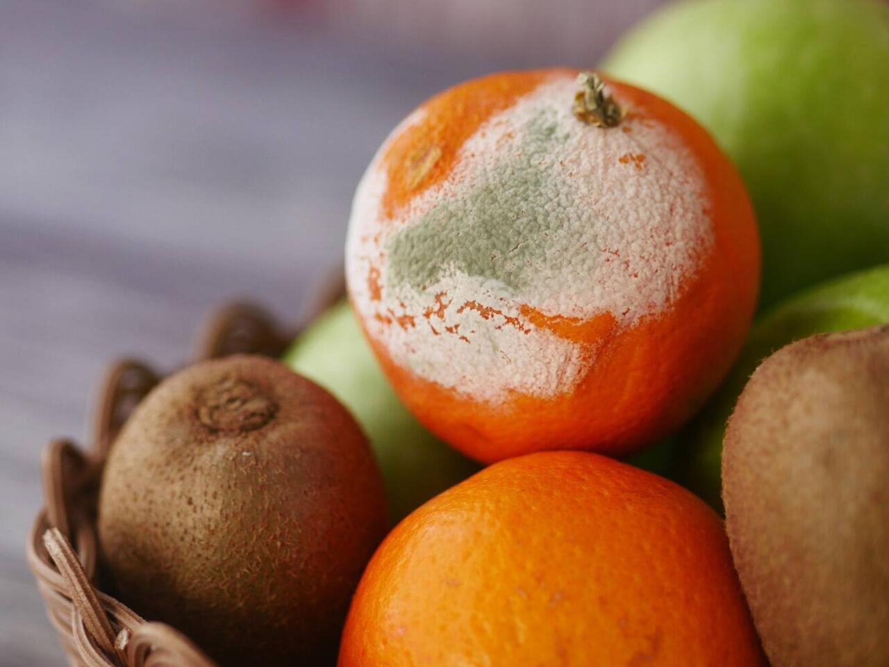 Kiflənmiş məhsulları yemək xər&ccedil;əng yaradır