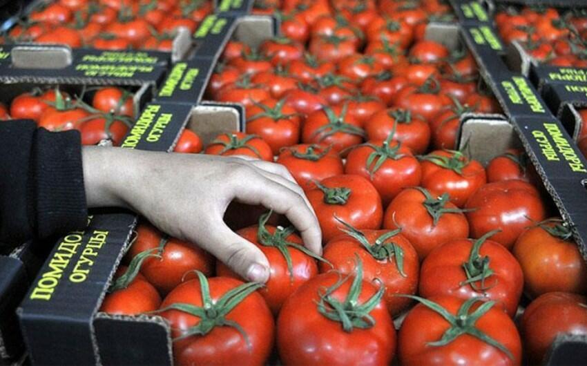 Pomidor indi yaydakından ucuzdur  SƏBƏB