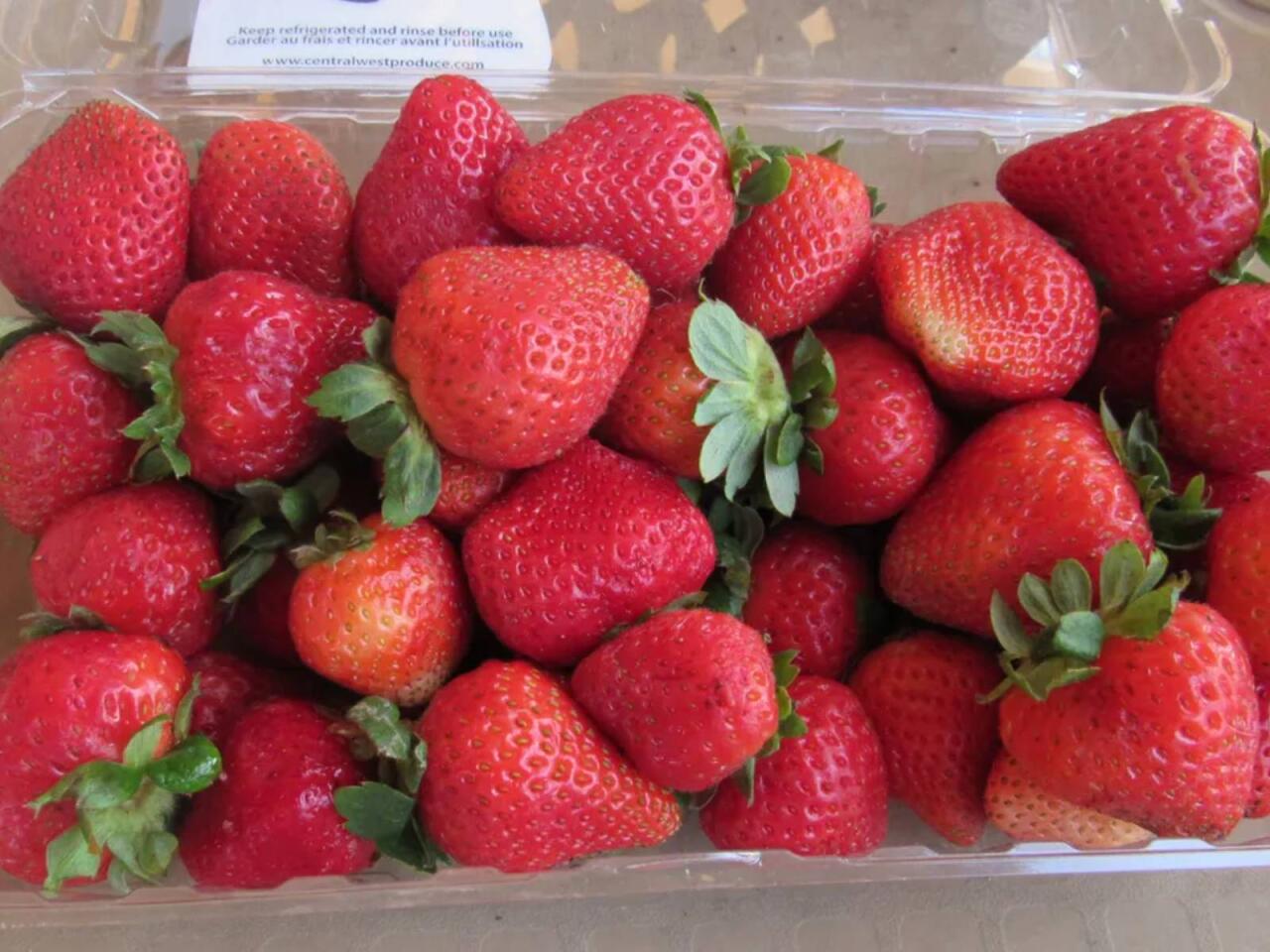 "Yavaşyavaş bizi &ouml;ld&uuml;r&uuml;rlər"  VİDEO