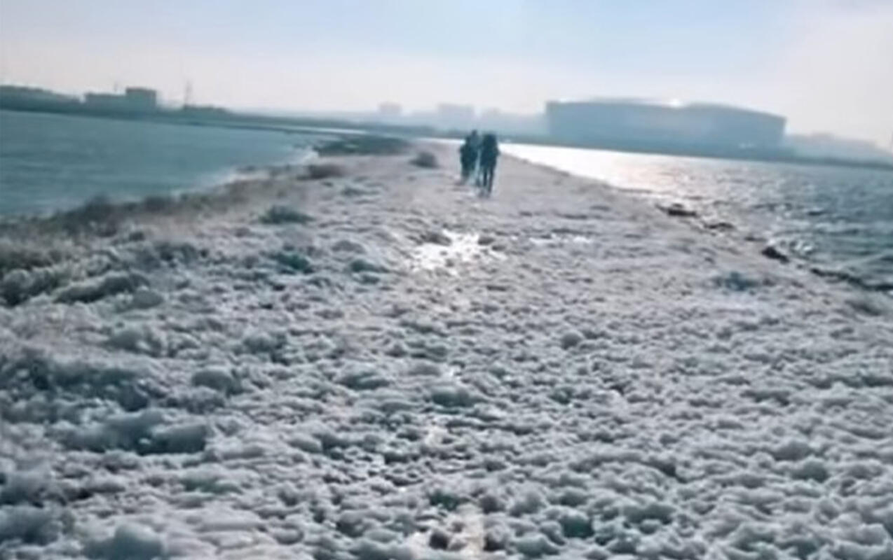 B&ouml;y&uuml;kşor g&ouml;l&uuml;ndəki k&ouml;p&uuml;k nədir?  A&Ccedil;IQLAMA