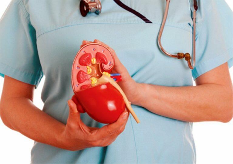 Azərbaycanda b&ouml;yrək xəstələrinin sayı niyə &ccedil;oxalıb? 