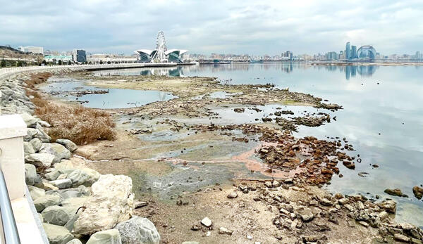 Xəzərin geri &ccedil;əkilməsi hər sahəyə təsir etdi  Ekoloji təhl&uuml;kə yaxınlaşır?