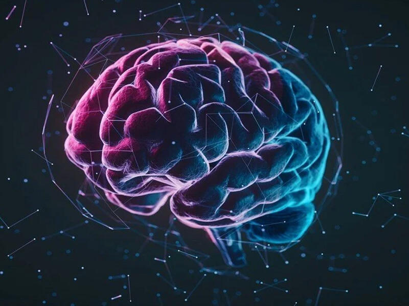 Beyin 32 yaşa qədər yeniyetmə d&ouml;vr&uuml;ndə qalırmış