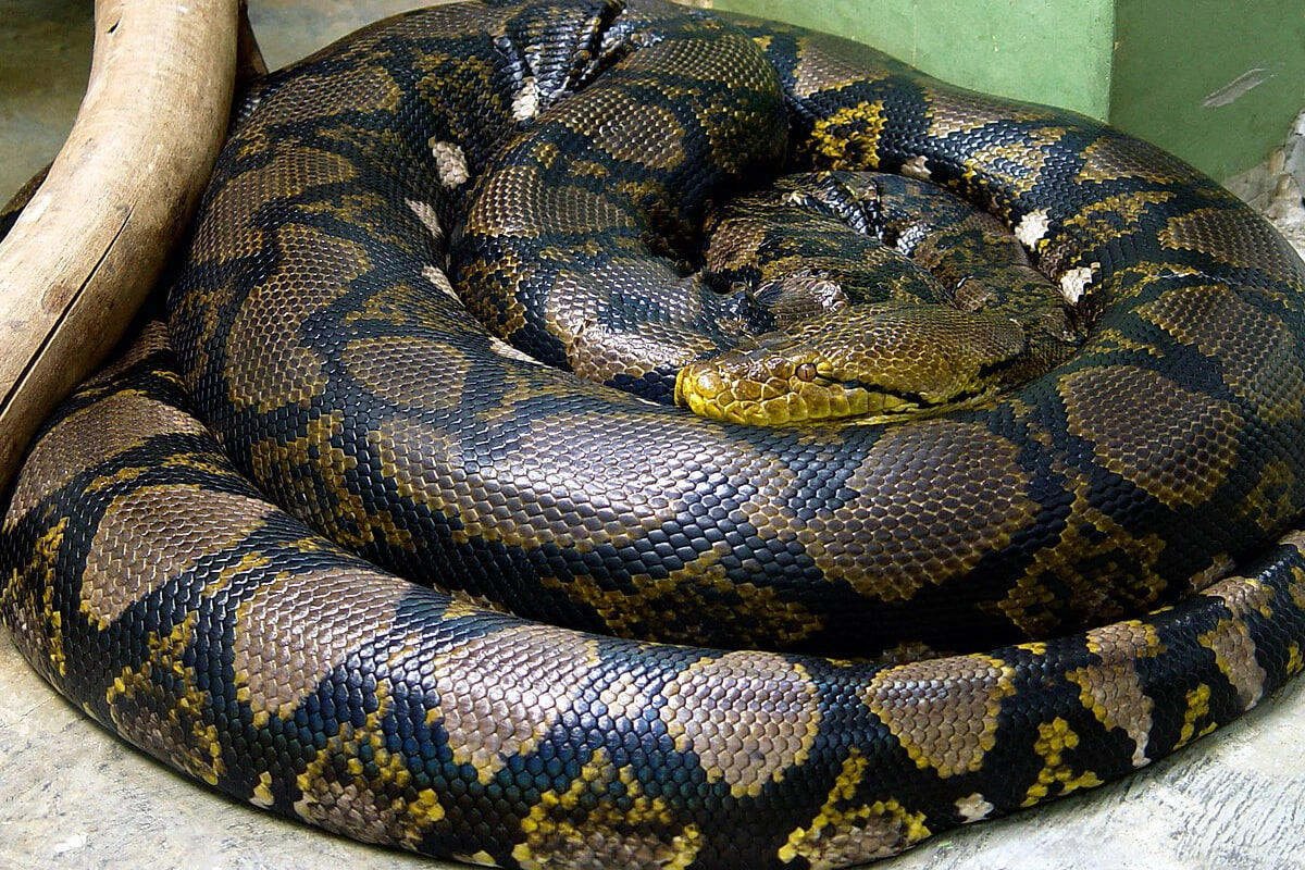 5 metrlik ilan şəhər mərkəzində PEYDA OLDU 