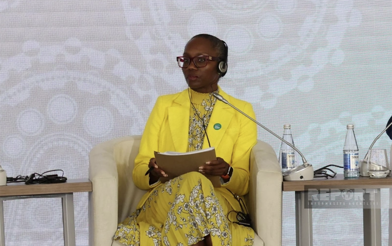 &ldquo;Orta Dəhliz 15 ildə 28 milyard dollar investisiyaya ehtiyac duyacaq&rdquo;