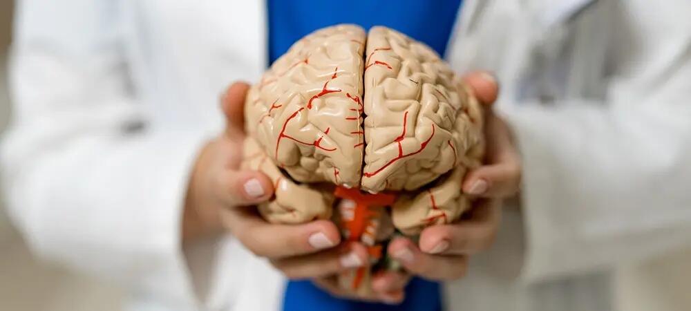 NATOda &ldquo;beynin sındırılması&rdquo; mexanizmləri araşdırılıb