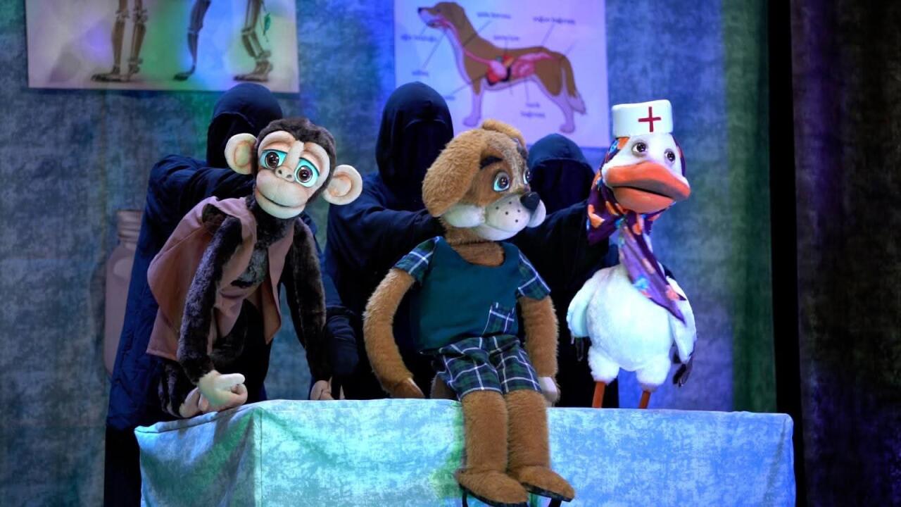 Uşaqların sevimli &ldquo;Aybolit&rdquo;i gəlir 