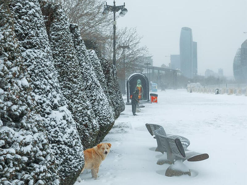 Qarsız qış sağlamlığımıza zərər vurur  Psixiatr