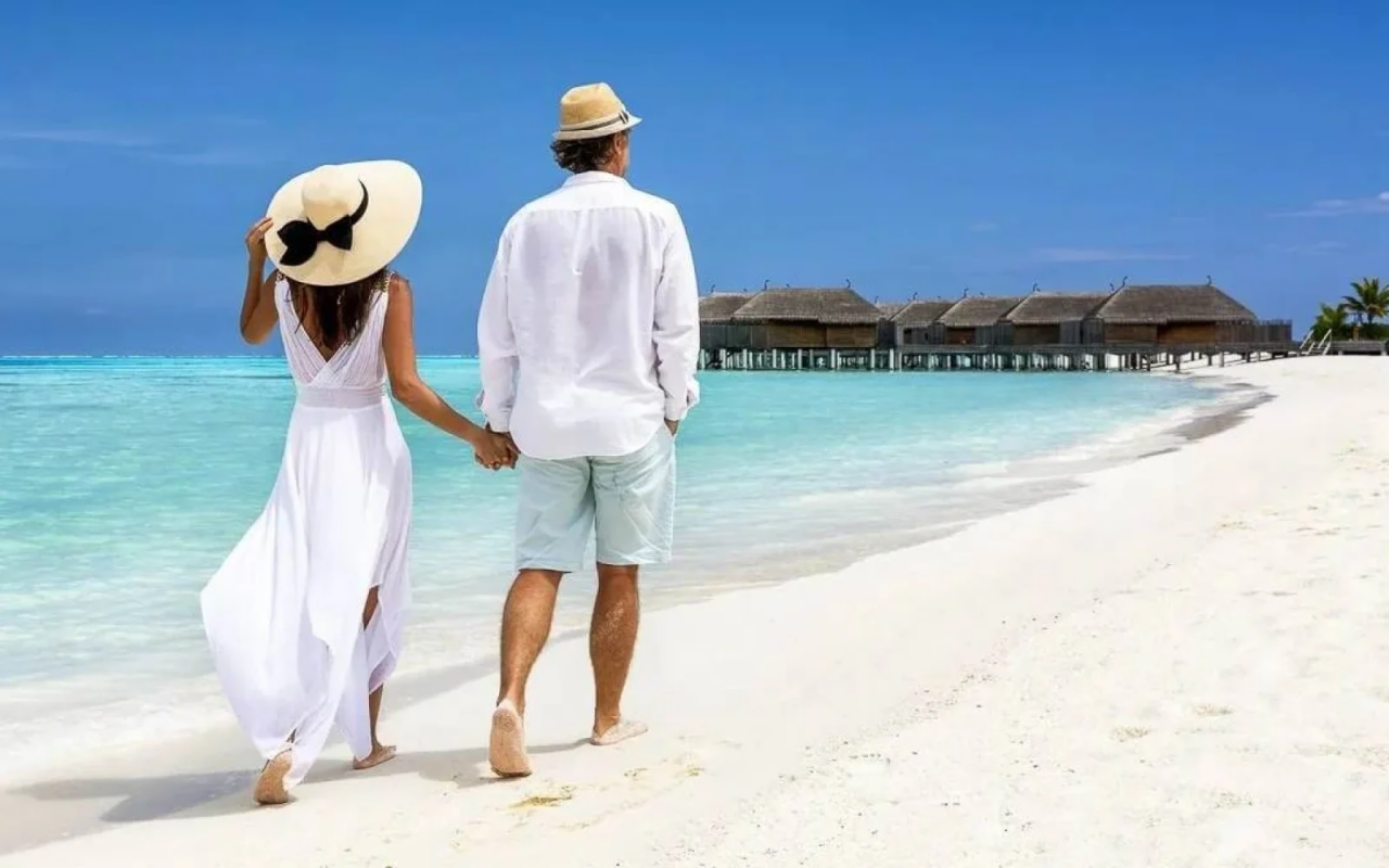 "Bal ayı"nı korlayan 1 n&ouml;mrəli SƏHV