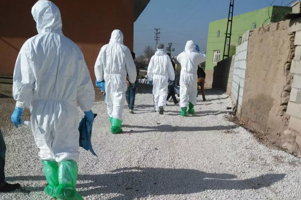 T&uuml;rkiyədə virusa g&ouml;rə 11 kənd karantinə alındı