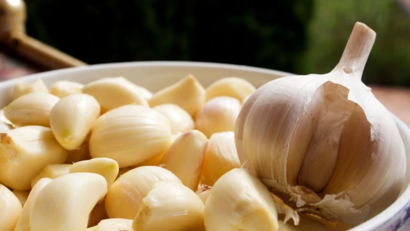 Ağız təmizliyində sarımsaq satışdakı qarqara vasitələrindən daha təsirlidir 
