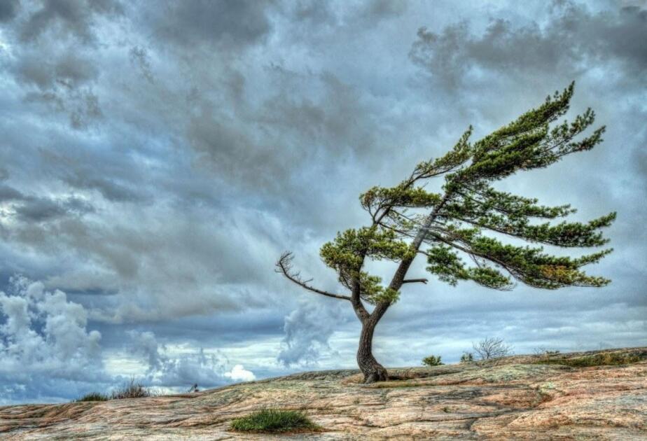 K&uuml;ləkli hava ilə bağlı XƏBƏRDARLIQ