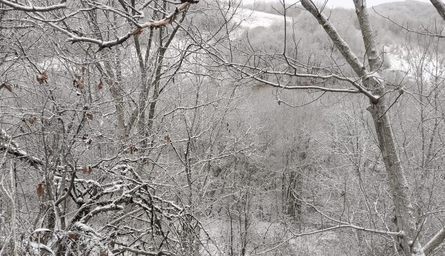 Ağdərəyə ilk qar yağdı 