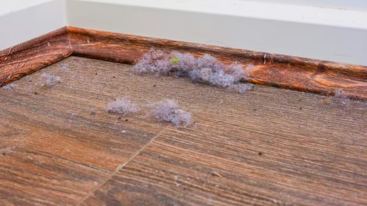 Plintus təmizliyi tarix olur: Ki&ccedil;ik amma təsirli metod