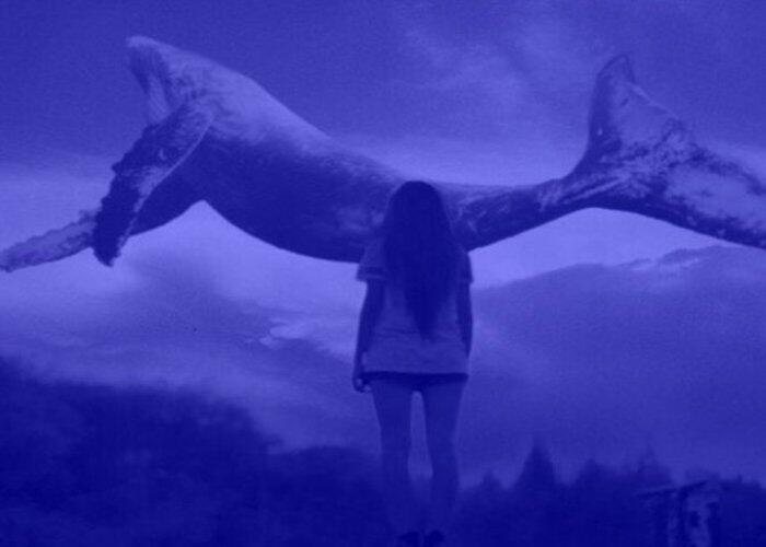 "Mavi balina" oyununun qurbanı olan 13 yaşlı Kəmalənin ad g&uuml;n&uuml;ndən