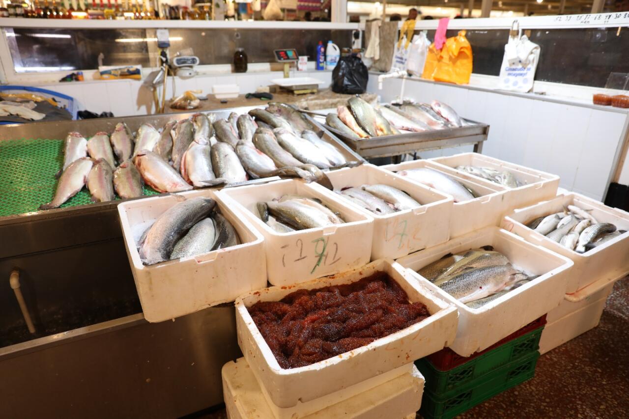 &ldquo;NəzrinE&rdquo; MMCdə ciddi n&ouml;qsanlar aşkarlanıb