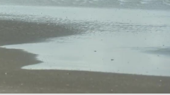 Xəzərin məyus edən g&ouml;r&uuml;nt&uuml;ləri  axırı necə olaacq? 