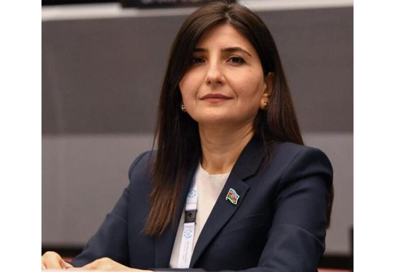 Azərbaycan və İran arasında Bakıda imzalanan sənədlər dövlətlərarası münasibətlərdə yeni mərhələnin əsasını qoyur – Sevil Mikayılova