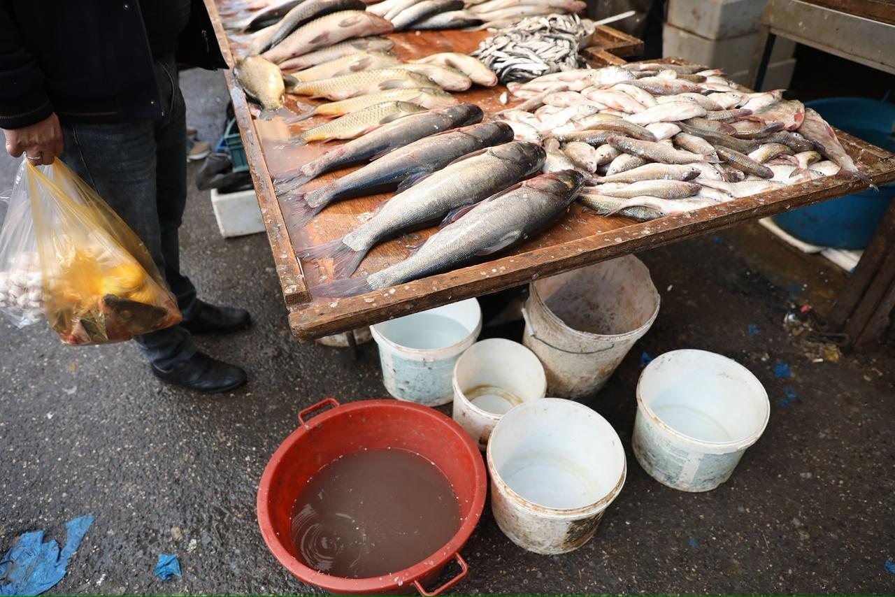 "8ci km" bazarında antisanitar vəziyyət h&ouml;km s&uuml;r&uuml;r  AQTA 