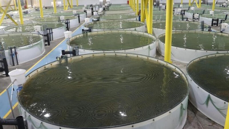 K&ouml;hnə təsərr&uuml;fatlar dir&ccedil;ələcək?