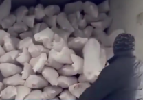 "12 manata monqol əti" Azərbaycan bazarını bürüyüb