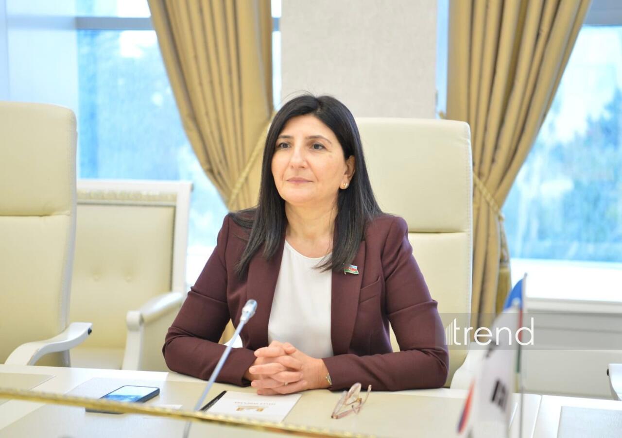 Avropa Parlamentinin qətnaməsi Azərbaycanın daxili işlərinə kobud m&uuml;daxilədir  Sevil Mikayılova