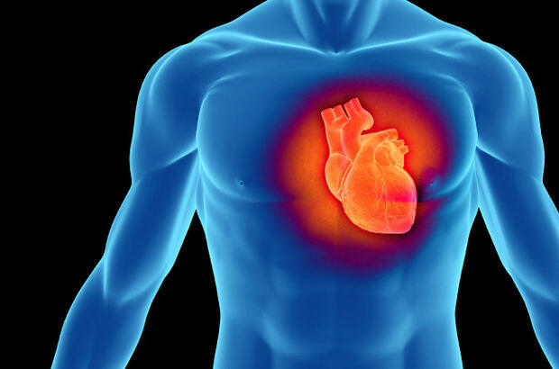 Alimlər ürəyin özünü sağalda biləcəyini göstərən inqilabi kəşf etdilər