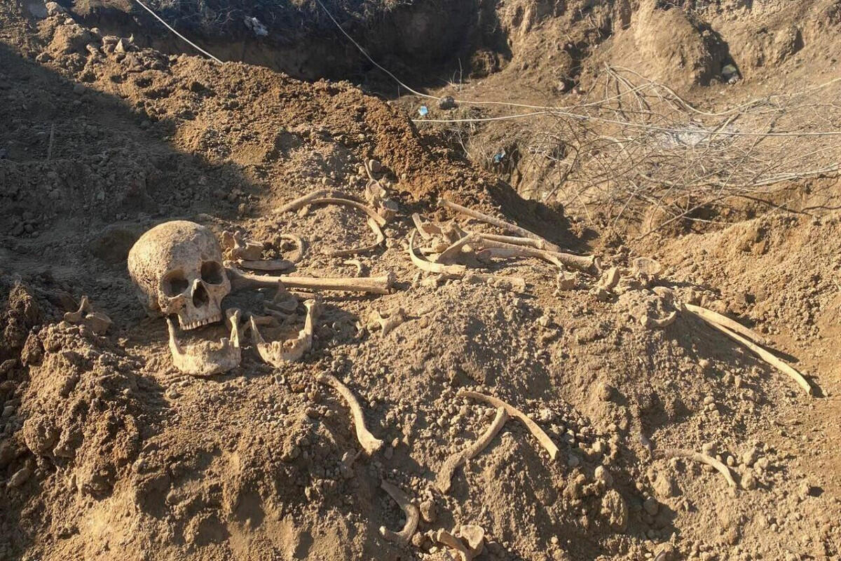 Meşədə insan sümükləri aşkarlandı
