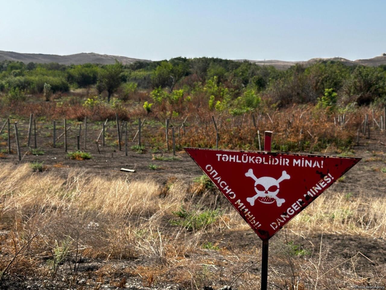 ANAMA əməkdaşı Xocavənndə minaya d&uuml;şd&uuml;