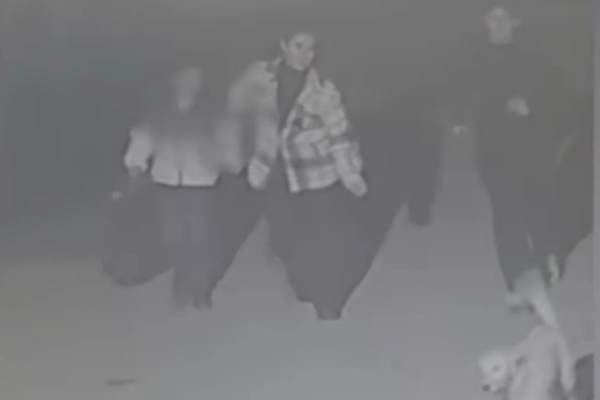 "Kameralara baxanda dəhşətə gəldik"  Bakıda uşağını k&uuml;&ccedil;əyə atan ana axtarılır