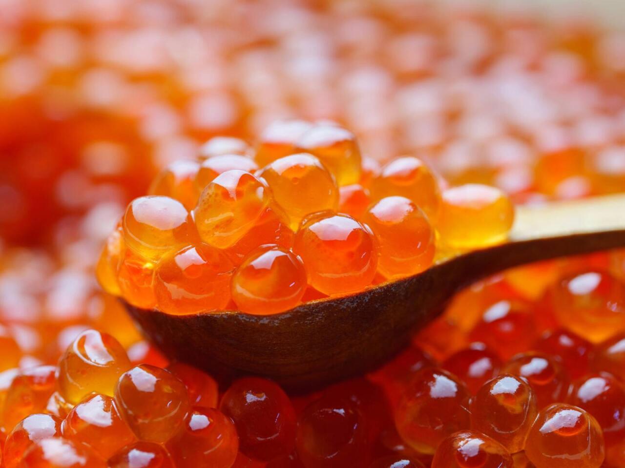 &Uuml;zərində E‑239 yazılan k&uuml;r&uuml; almayın  Zəhər sa&ccedil;ır