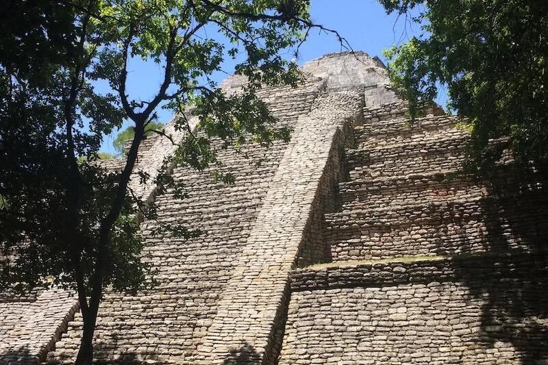 Mayaların it ticarəti etdiyinə dair s&uuml;butlar tapıldı