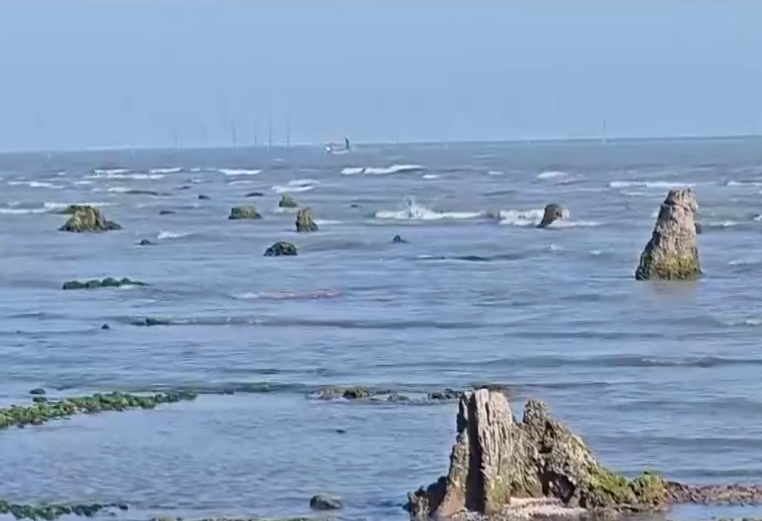 Azərbaycanda dəniz geri &ccedil;əkildi, meşə zolağı ortaya &ccedil;ıxdı  FOTO