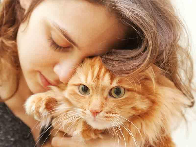 Tək cızıq kifayətdir: Pişiklərdən insanlara ke&ccedil;ən g&ouml;bələk n&ouml;v&uuml; aşkar edildi