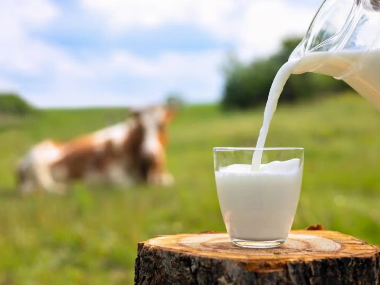 Dabaq xəstəliyi kənd s&uuml;d satışına necə təsir etdi?  A&Ccedil;IQLAMA