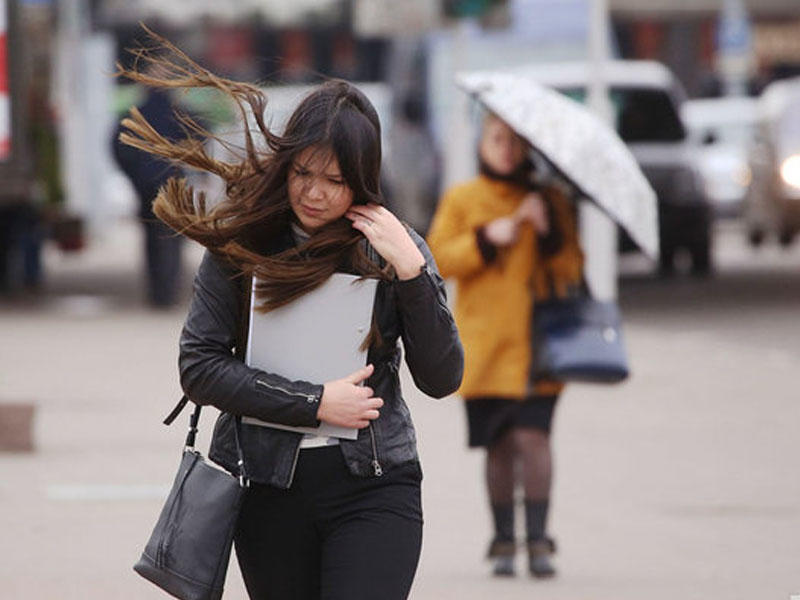 K&uuml;ləklə bağlı sarı və narıncı XƏBƏRDALIQ