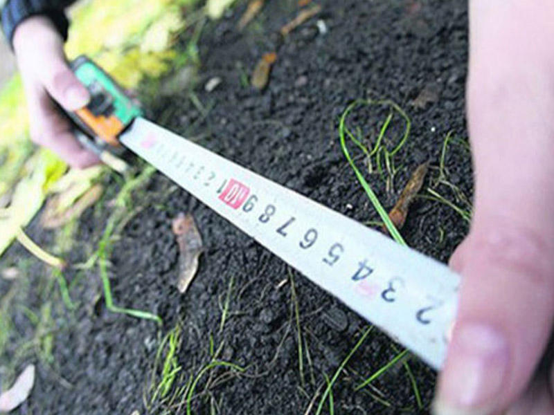 Bələdiyyələrin qanunsuz satdığı torpaqlar geri alınır  Nazirlik məhkəmələrə m&uuml;raciət edib