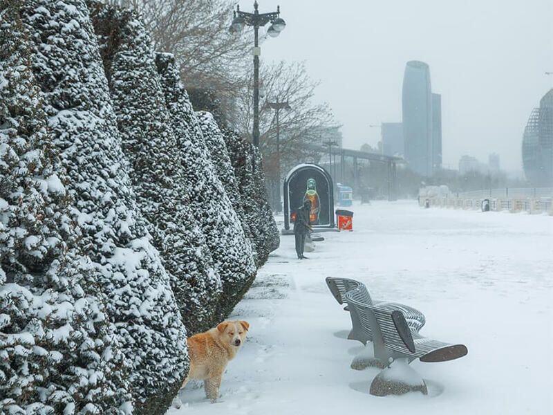 Bakıda g&uuml;cl&uuml; qar g&ouml;zlənilir?  hazırlıqlar