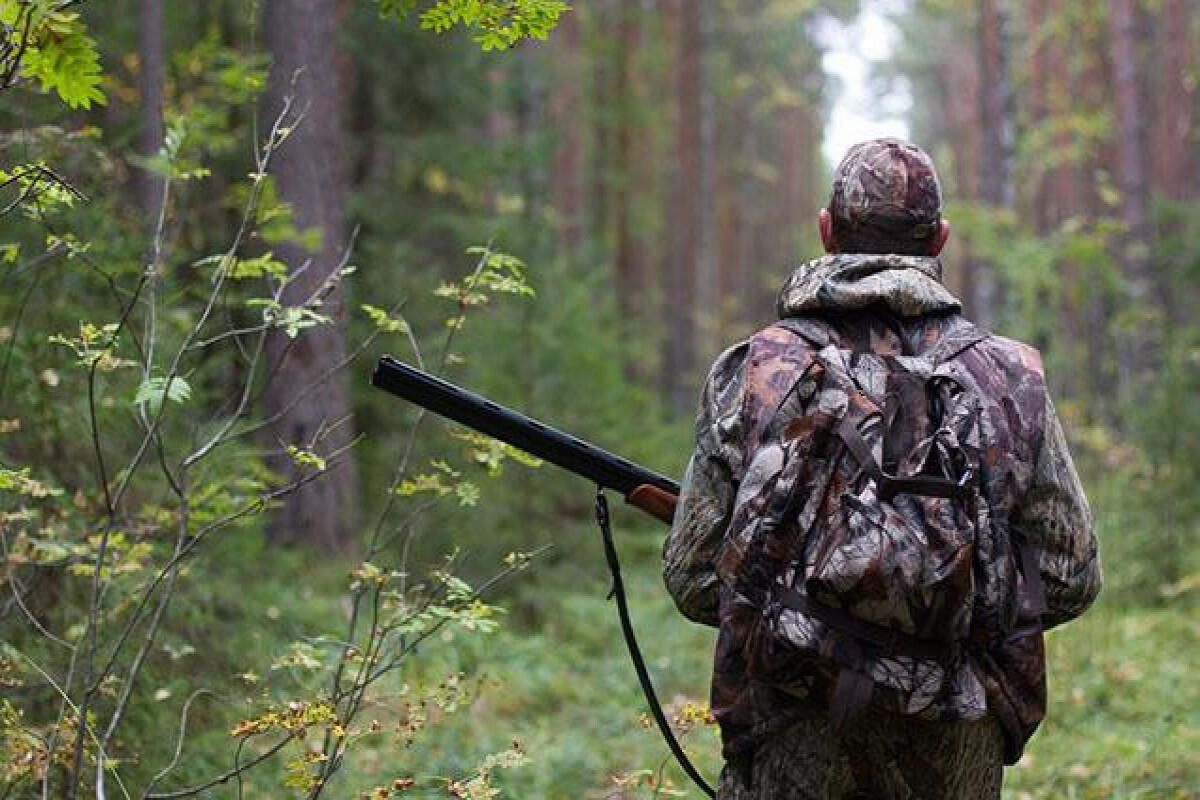 Azərbaycanda ov m&ouml;vs&uuml;m&uuml; a&ccedil;ılır