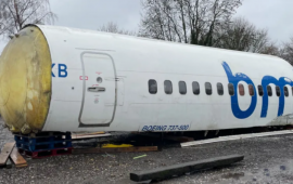 Satın aldığı təyyarəni bağ&ccedil;asında basdıracaq 