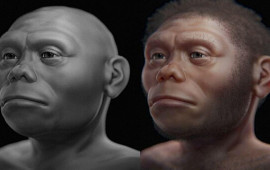 "Hobbit"lərin 61 min il əvvəlki sirri A&Ccedil;ILDI