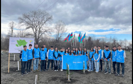 IDEA Zaqatalada k&uuml;tləvi ağacəkmə aksiyası təşkil edib 